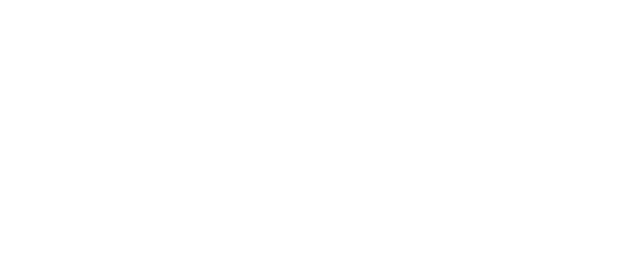 Acizer Logo